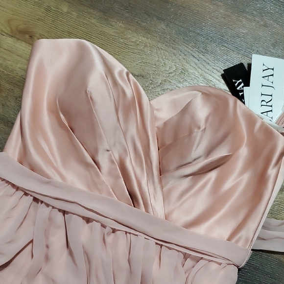 Bari Jay Pink Strapless Pleated Bust Sheer Maxi Gown - Picture 6 of 9